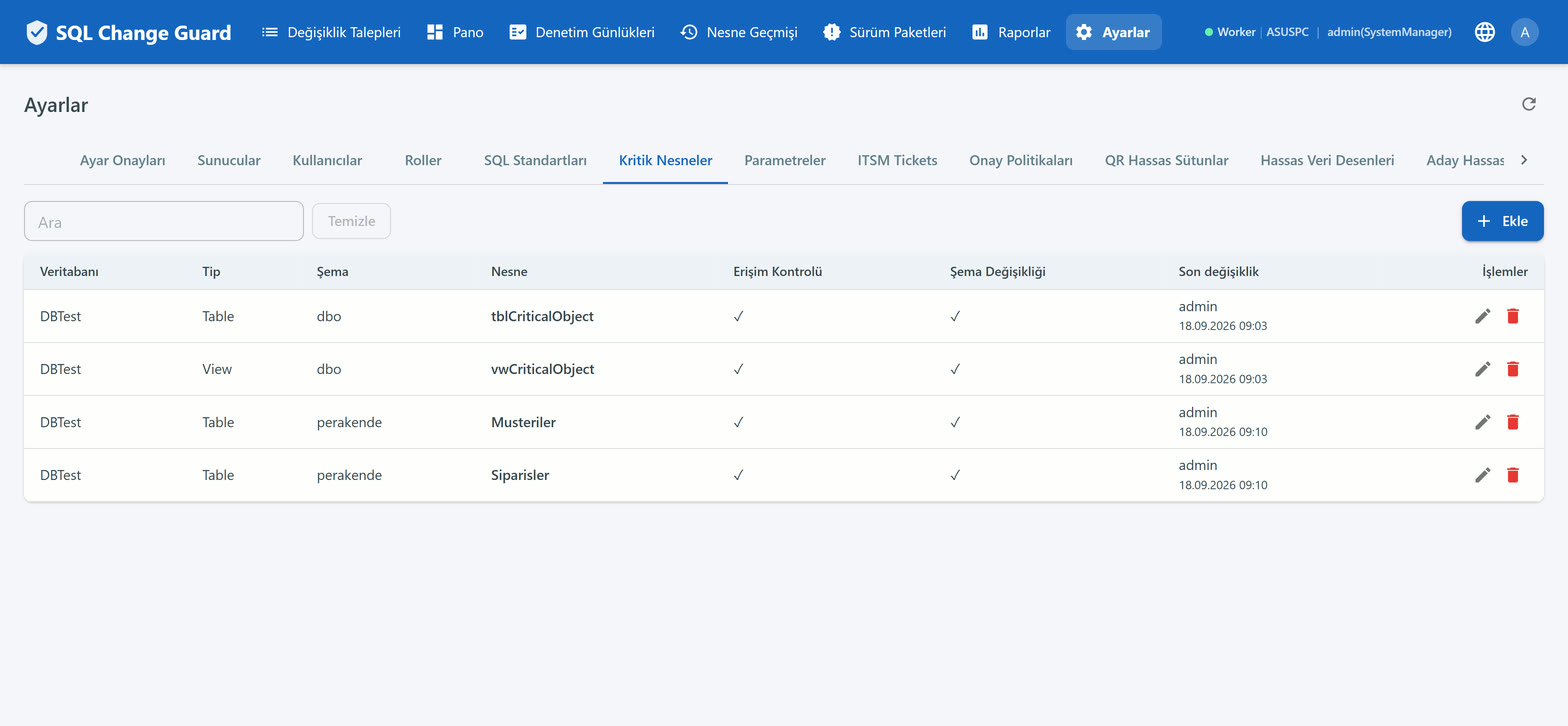 Critical object definitions screen with database, schema, object type and the access control switch
